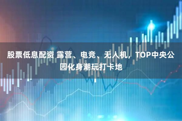 股票低息配资 露营、电竞、无人机，TOP中央公园化身潮玩打卡地